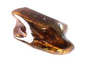Large Grade AAA Baltic Amber Specimen