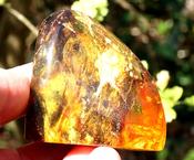 Large Baltic Amber with Inclusions 53.5g