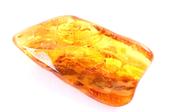 Baltic Amber with Insect