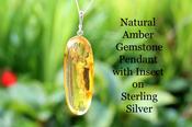 Natural Amber Gemstone Pendant with Insect Inclusion on Sterling Silver