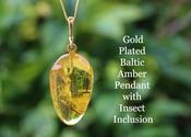 Gold-Plated Baltic Amber Pendant with Insect Inclusion
