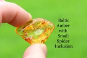 Baltic Amber with Small Spider Inclusion image