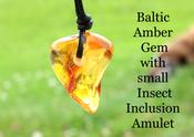 Baltic Amber Gem with Insect Inclusion Amulet