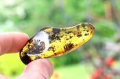 Natural Amber Worry Stone – One-of-a-Kind