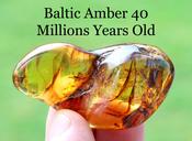 Baltic Amber Healing Energy Worry Stone