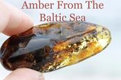 Natural Baltic Amber Gemstone
