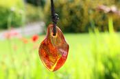 Amber Amulet Pendant Necklace image