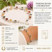 Sterling Silver &amp; Mixed Amber Link Bracelet