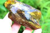 Grade AAA Baltic Amber Collector’s Gemstone, Large Fossil Resin Specimen