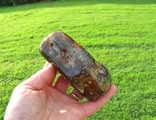 Large Baltic Amber Collector's Gem /  Quality Interesting Specimen Display Piece with Laboratory Certificate