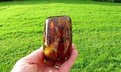 Large 168g Baltic Amber Collector's Gem /  Quality Interesting Specimen Display Piece with Laboratory Certificate image