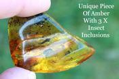 Amber Gem with 3 Insect Inclusions image