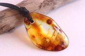 Hand-Polished Baltic Amber Amulet image