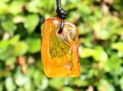Baltic Amber Amulet with  40m Year Old Fossil Insect Inclusion image