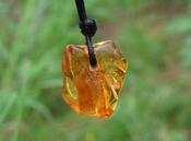 Amber Gem Amulet Necklace with Natural Insect Inclusion image