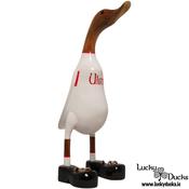 Ulster Lucky Duck image