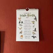 Joe Hollingsworth - A Calendar of Irish Birds 2027