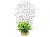Decoration Ornament
