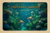 Angel Exotix Aquarium Gift Card