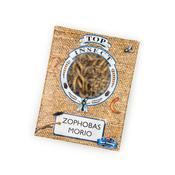 Topinsect Morio worms 1 litre box 