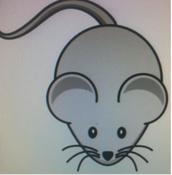Mouse Pinks  1-4 g