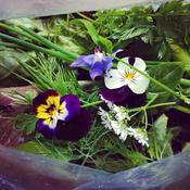 Organic Salad Box