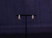 Gold Hoop Earrings image