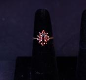 Garnet Ring image