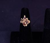 Garnet Ring image