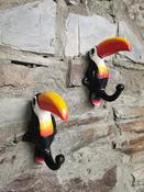 Pair of Cast Iron Toucan Coat Hooks