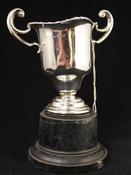 Silver Cup
