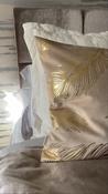 Biscotti &amp; Gold Feather