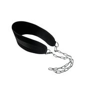 Dip Belt
