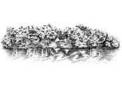 Finnebrogue Wood Wedding Ink Veue - A3 / Include Frame / No Gift Wrap