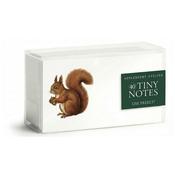 Autumn Squirrel Tiny Notes Stationery image