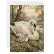Hello Baby, New Baby Swan Greeting Card image