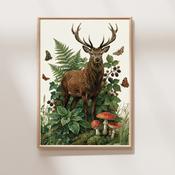 Highland Stag Art Print - A3 image