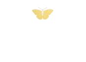 Personalised Butterfly Garden Notelets - 125 / No Gift Box
