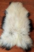 Mixed Sheepskin Rug image