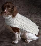 Merino Wool Dog Coat image