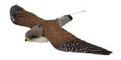 Sport Plast Flying Kestrel