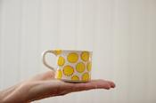 Small Cup, Suns