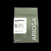 Guatemala Santa Rosa