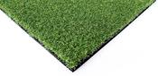 Pro Green Putting image