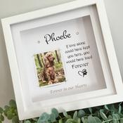 Pet Memorial frame for Dog , Cat or any animal