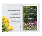 Tulips image