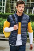 Regatta FIREDOWN DOWN-TOUCH INSULATED BODYWARMER TRA856 image