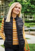 Regatta Woman's FIREDOWN DOWN-TOUCH INSULATED BODYWARMER TRA857 image
