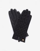 Black Scarlet Quilted Gloves - L / Black image