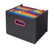 SNOPAKE 13 PART DESK EXPANDER A4 RAINBOW/BLACK 15851 image
